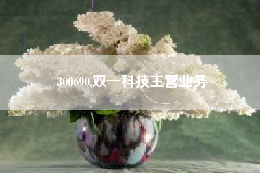 300690,双一科技主营业务