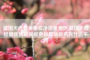 富国天合基金单位净值是多少,富国天合稳健优选前端收费和后端收费有什么不同