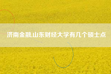 济南金融,山东财经大学有几个硕士点