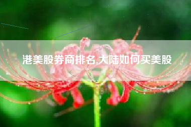 港美股券商排名,大陆如何买美股