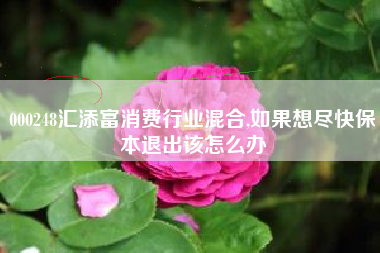 000248汇添富消费行业混合,如果想尽快保本退出该怎么办