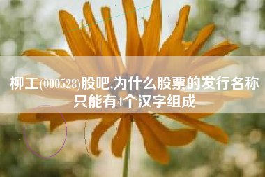 柳工(000528)股吧,为什么股票的发行名称只能有4个汉字组成