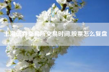 上海证券交易所交易时间,股票怎么复盘