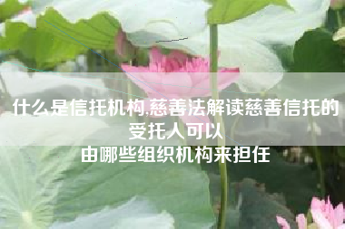 什么是信托机构,慈善法解读慈善信托的受托人可以
由哪些组织机构来担任 什么是信托机构,慈善法解读慈善信托的受托人可以
由哪些组织机构来担任