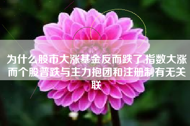为什么股市大涨基金反而跌了,指数大涨而个股普跌与主力抱团和注册制有无关联❓