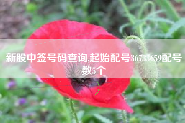 新股中签号码查询,起始配号36733659配号数5个