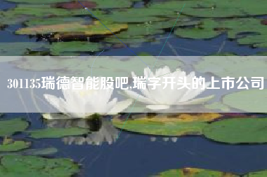 301135瑞德智能股吧,瑞字开头的上市公司