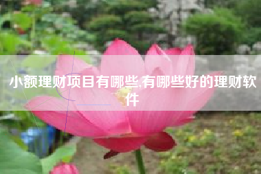 小额理财项目有哪些,有哪些好的理财软件