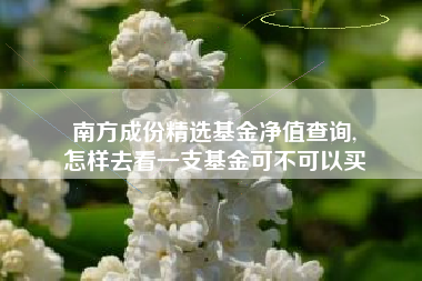 南方成份精选基金净值查询,
怎样去看一支基金可不可以买