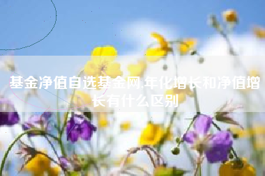 基金净值自选基金网,年化增长和净值增长有什么区别