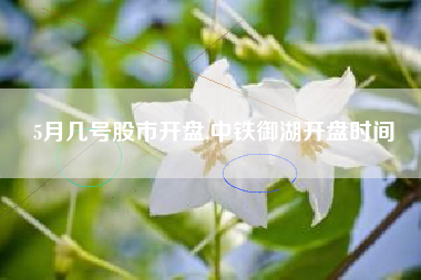 5月几号股市开盘,中铁御湖开盘时间