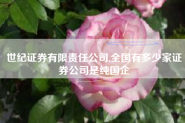 世纪证券有限责任公司,全国有多少家证券公司是纯国企