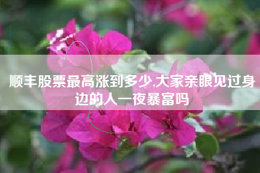 顺丰股票最高涨到多少,大家亲眼见过身边的人一夜暴富吗
