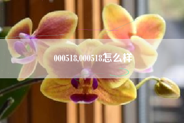 000518,000518怎么样