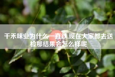 千禾味业为什么一直跌,现在大家都去送检那结果会怎么样呢