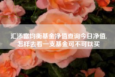 汇添富均衡基金净值查询今日净值,
怎样去看一支基金可不可以买
