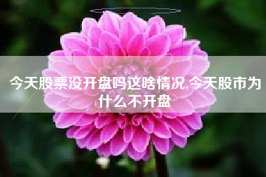 今天股票没开盘吗这啥情况,今天股市为什么不开盘