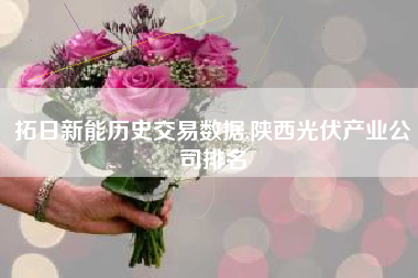 拓日新能历史交易数据,陕西光伏产业公司排名