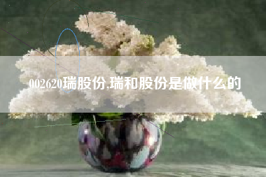 002620瑞股份,瑞和股份是做什么的