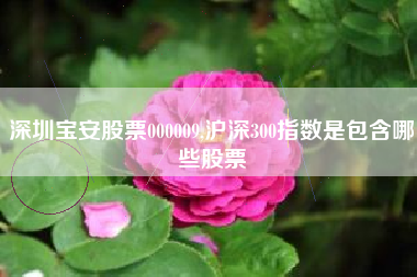 深圳宝安股票000009,沪深300指数是包含哪些股票