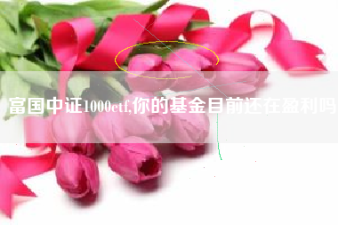 富国中证1000etf,你的基金目前还在盈利吗