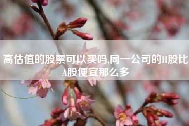 高估值的股票可以买吗,同一公司的H股比A股便宜那么多