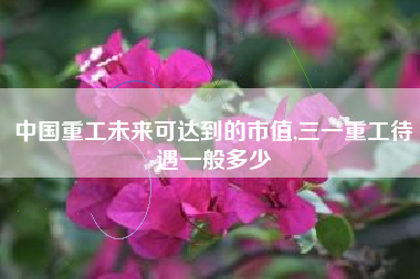中国重工未来可达到的市值,三一重工待遇一般多少