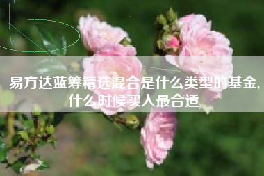 易方达蓝筹精选混合是什么类型的基金,什么时候买入最合适