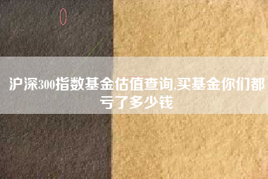沪深300指数基金估值查询,买基金你们都亏了多少钱