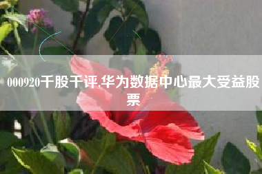 000920千股千评,华为数据中心最大受益股票