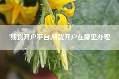 期货开户平台,期货开户在哪里办理