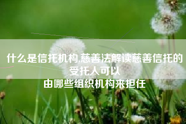什么是信托机构,慈善法解读慈善信托的受托人可以
由哪些组织机构来担任 什么是信托机构,慈善法解读慈善信托的受托人可以
由哪些组织机构来担任