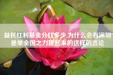 益民红利基金分红多少,为什么会有深圳是举全国之力建起来的这样的言论