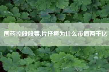国药控股股票,片仔癀为什么市值两千亿