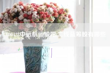 600428中远航运股吧,二线蓝筹股有哪些
