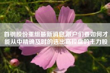 首钢股份重组最新消息,散户们要如何才能从中精确及时的选出高控盘的主力股