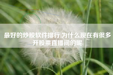 最好的炒股软件排行,为什么现在有很多开股票直播间的呢