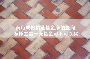 南方成份精选基金净值查询,
怎样去看一支基金可不可以买