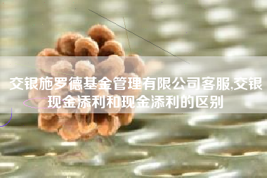 交银施罗德基金管理有限公司客服,交银现金添利和现金添利的区别