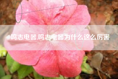鸣志电器,鸣志电器为什么这么厉害