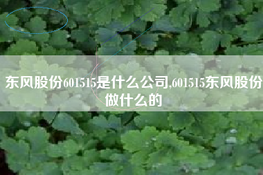东风股份601515是什么公司,601515东风股份做什么的