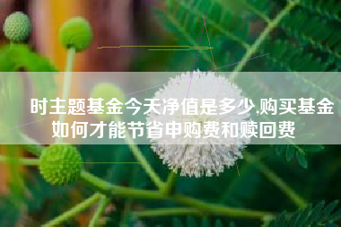 愽时主题基金今天净值是多少,购买基金如何才能节省申购费和赎回费