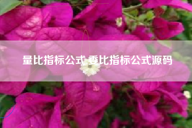 量比指标公式,委比指标公式源码