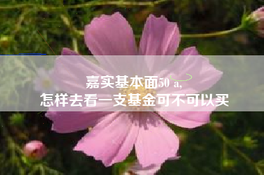 嘉实基本面50 a,
怎样去看一支基金可不可以买