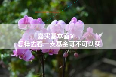 嘉实基本面50 a,
怎样去看一支基金可不可以买