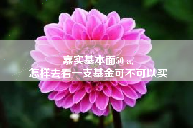 嘉实基本面50 a,
怎样去看一支基金可不可以买
