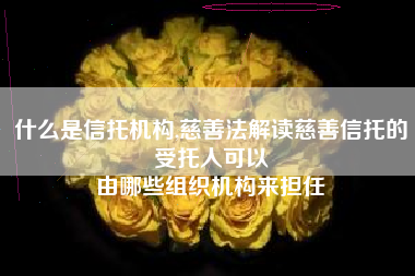 什么是信托机构,慈善法解读慈善信托的受托人可以
由哪些组织机构来担任 什么是信托机构,慈善法解读慈善信托的受托人可以
由哪些组织机构来担任