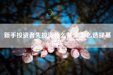 新手投资者先投资什么基金,怎么选择基金呢
