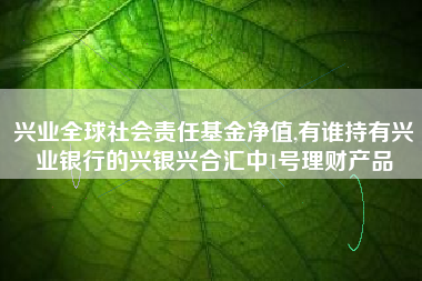 兴业全球社会责任基金净值,有谁持有兴业银行的兴银兴合汇中1号理财产品