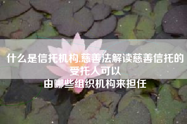 什么是信托机构,慈善法解读慈善信托的受托人可以
由哪些组织机构来担任 什么是信托机构,慈善法解读慈善信托的受托人可以
由哪些组织机构来担任